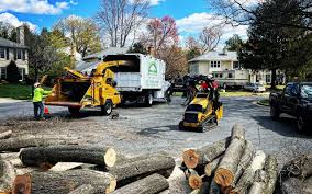 Best Storm Damage Tree Cleanup  in Smithville, TX