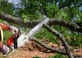 Best Aeration Services  in Smithville, TX